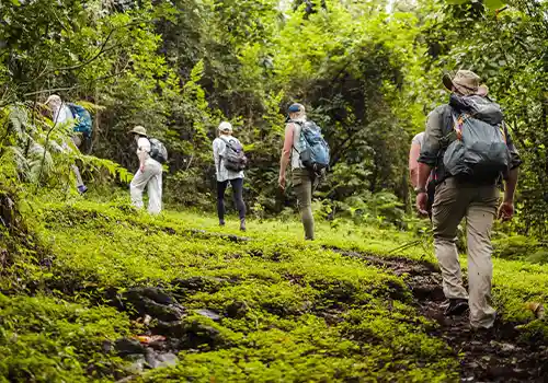 Arusha National Park Day Tour - Adventure Near Mount Meru