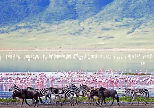 Ngorongoro Crater Floor - UNESCO World Heritage Site in Tanzania