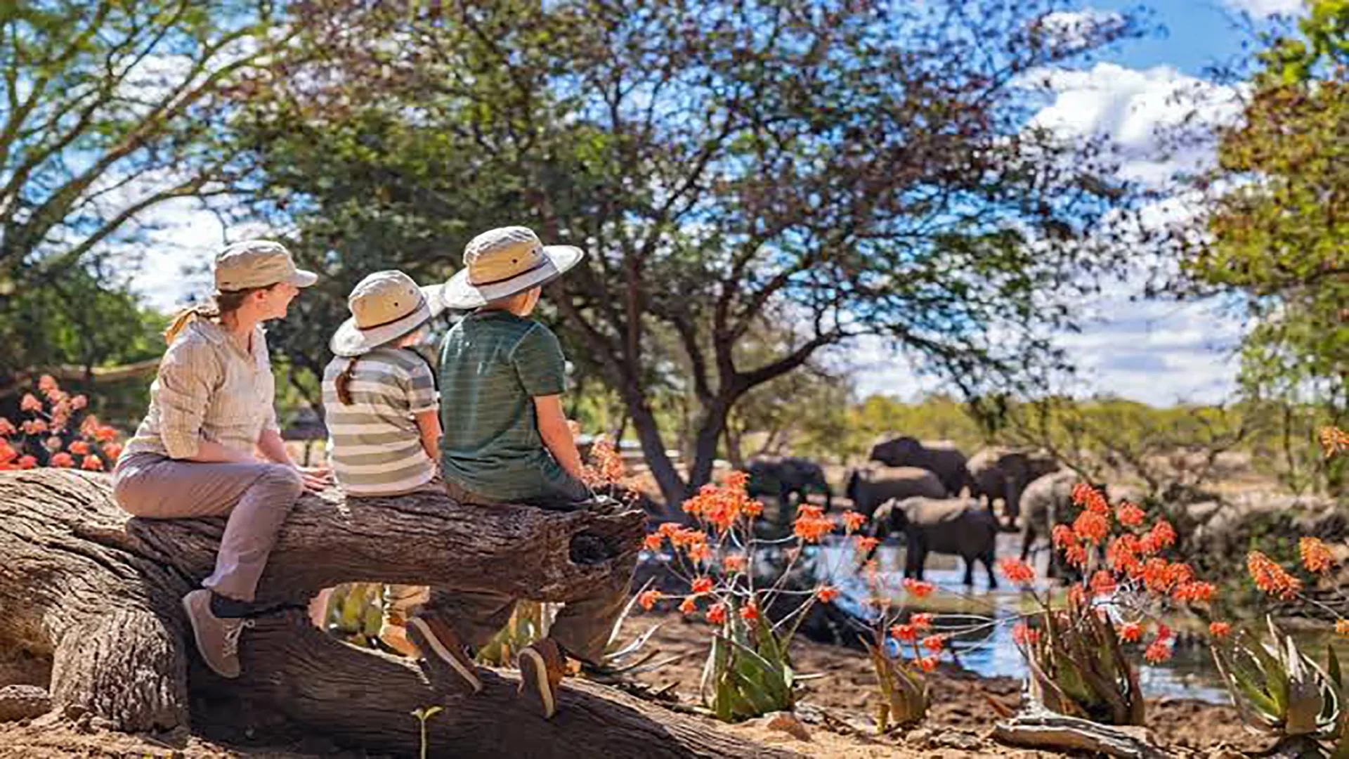 Serengeti Fly-In Luxury Tented Camp Safari