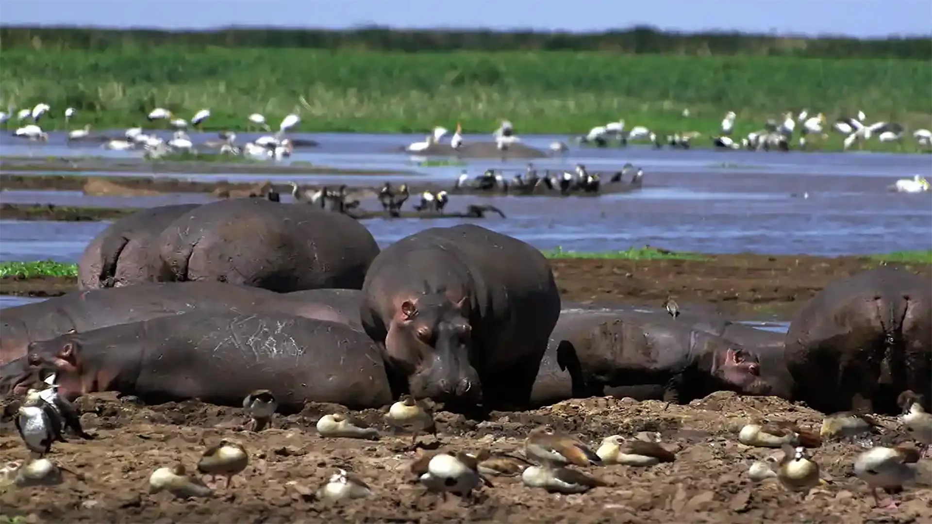 7-Day Tanzania Scenic Safari & Materuni Waterfall Visit