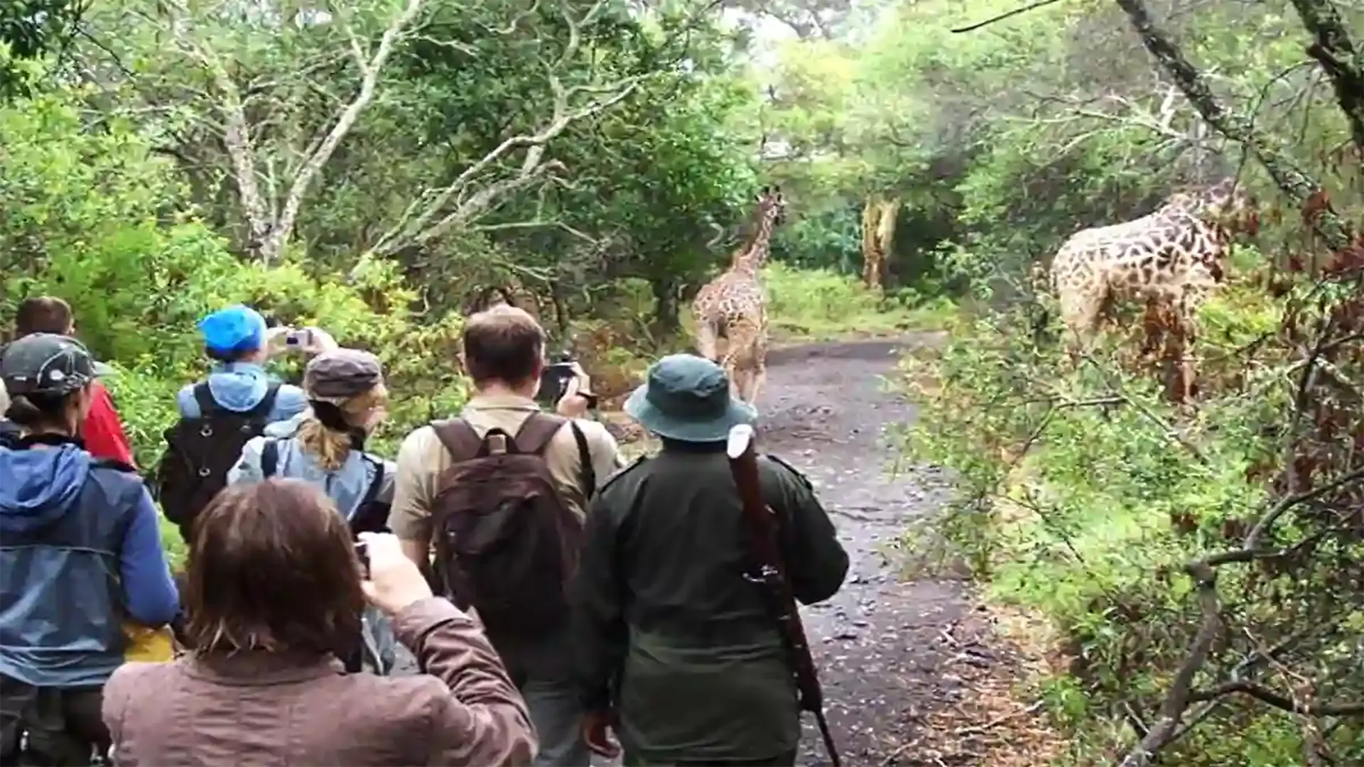 Tanzania Group Joining Safaris