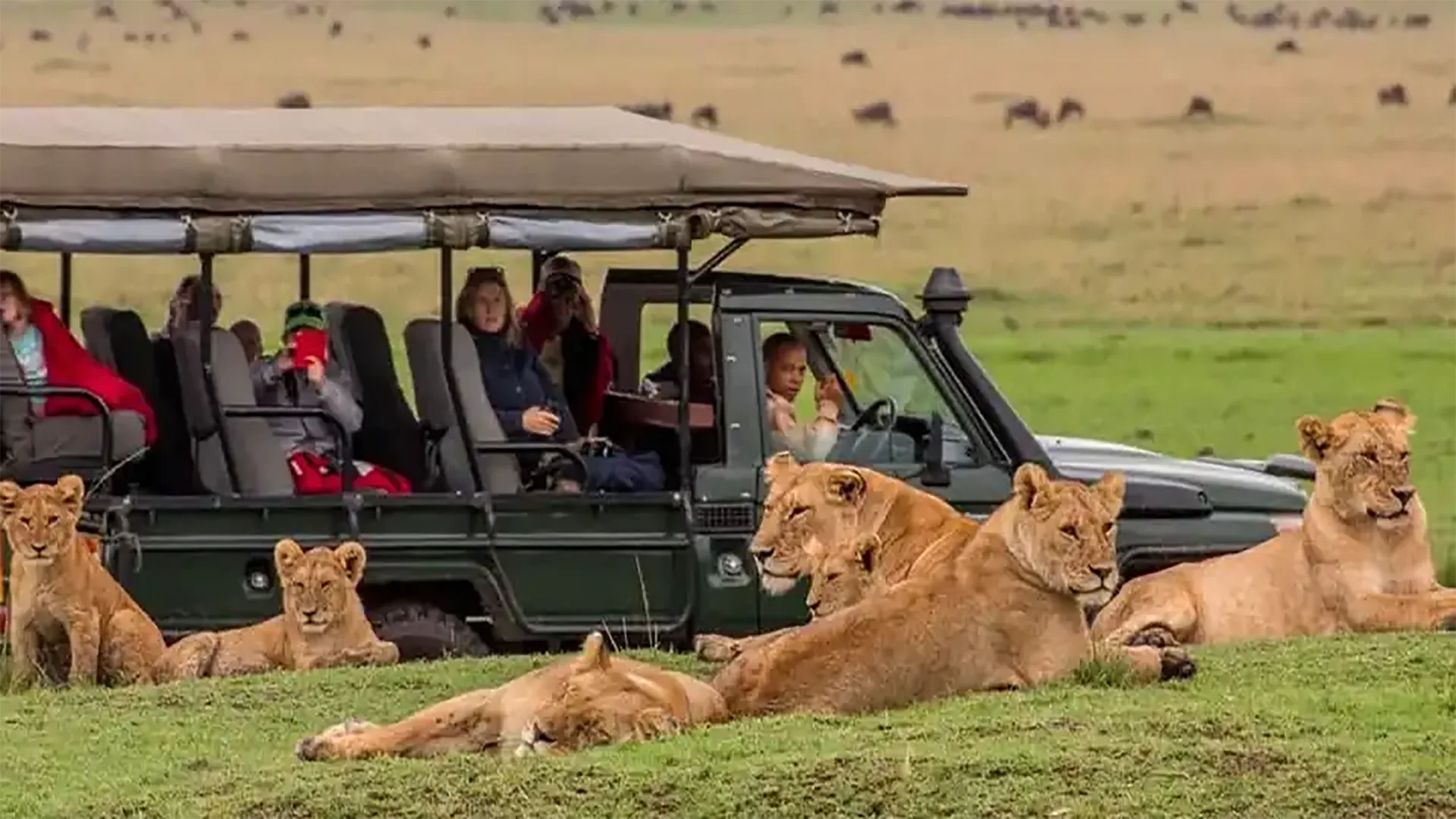10 Giorni Kilimanjaro e Safari Big Five in Gruppo