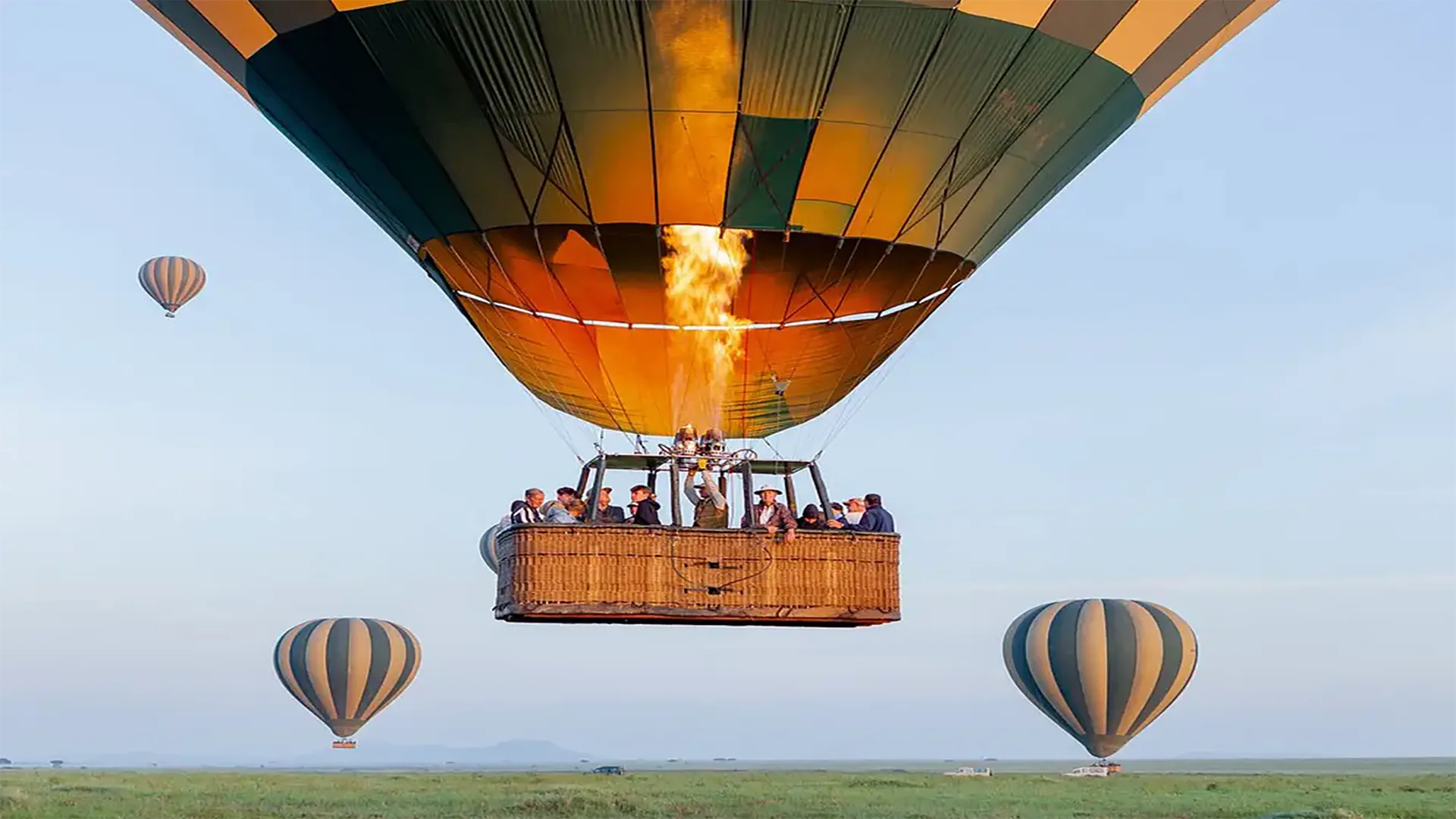 Safari Fly-In di 3 Giorni nel Serengeti