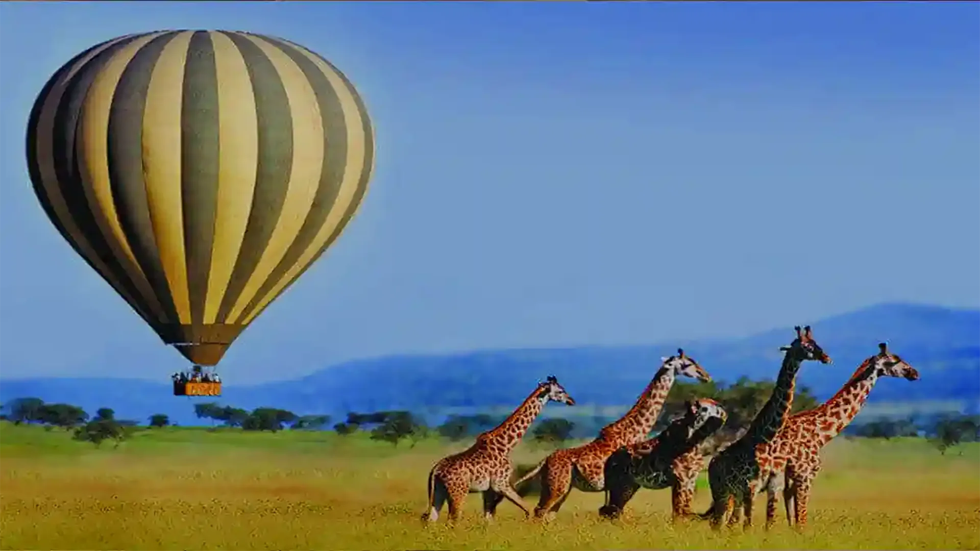 Alla Scoperta del Nord Tanzania – Avventura di 7 Giorni