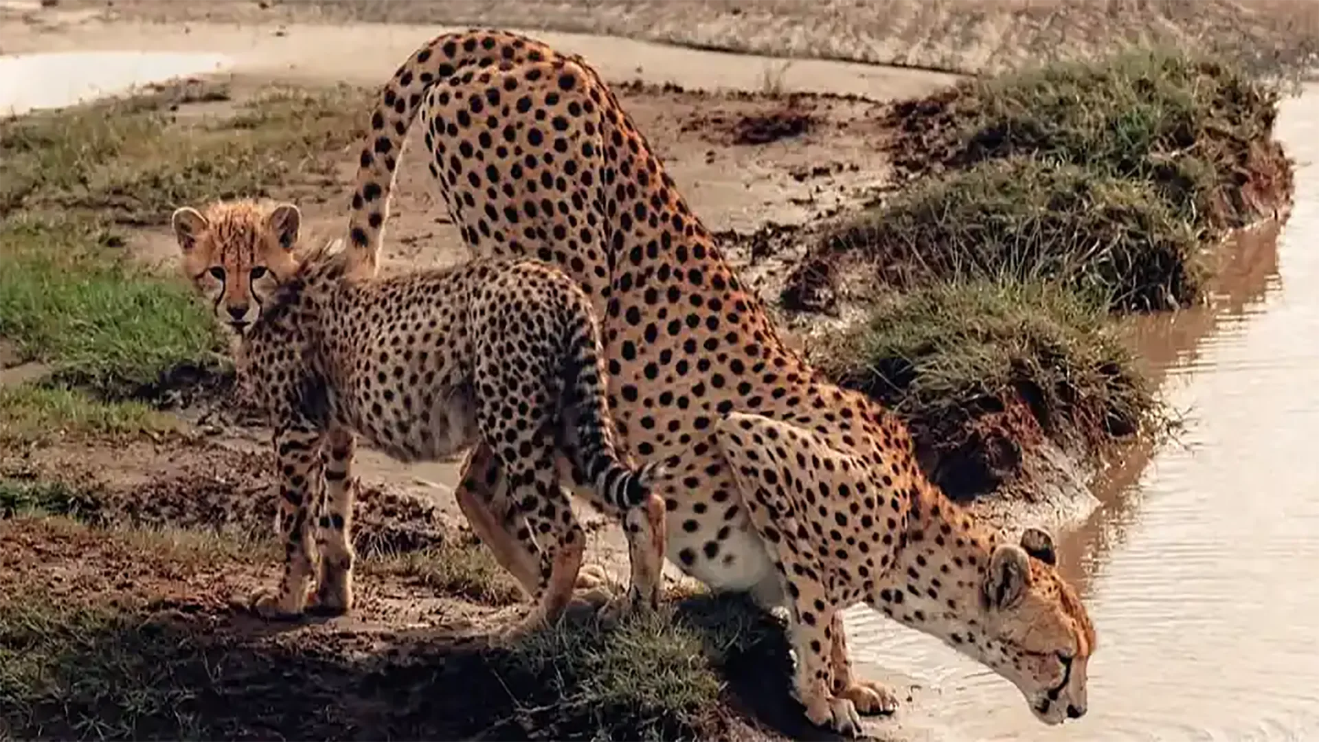 8-Day Tanzania Safari – The Ultimate Experience