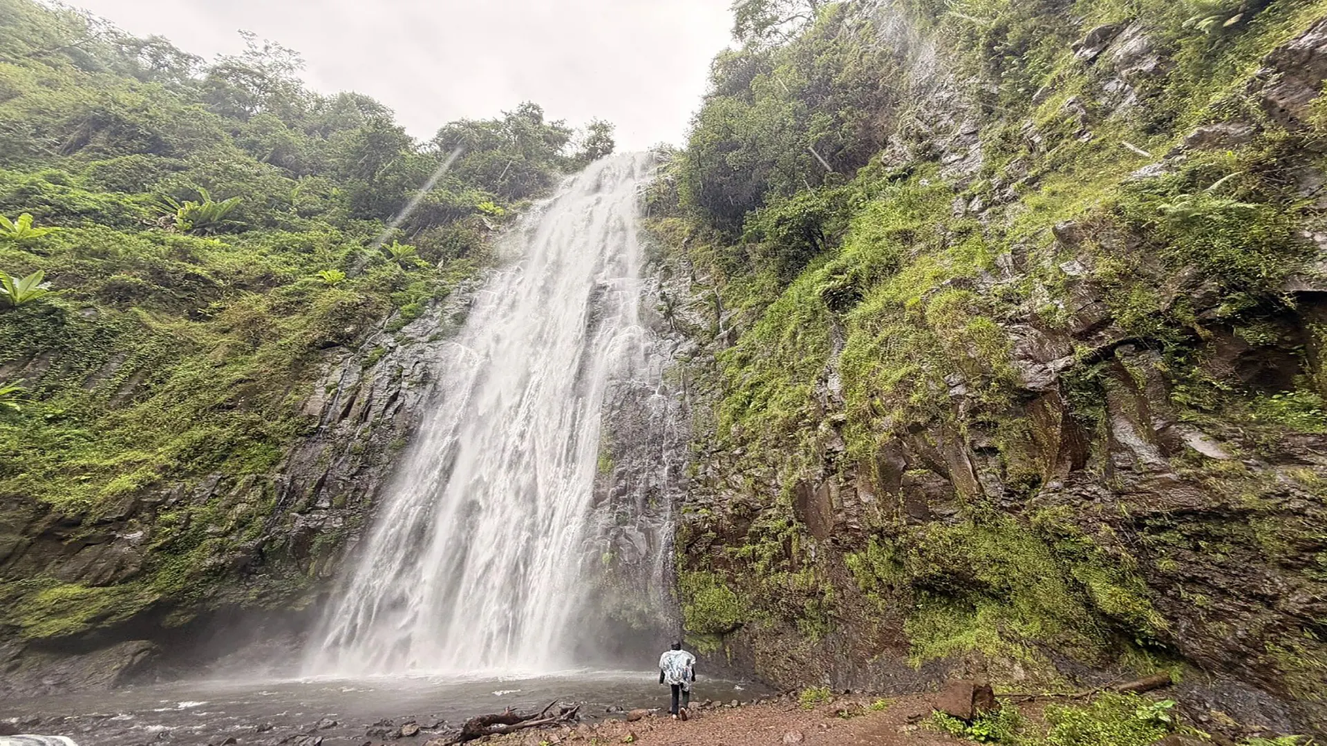 Cascata di Materuni e tour del caffè Chagga ai piedi del Kilimangiaro